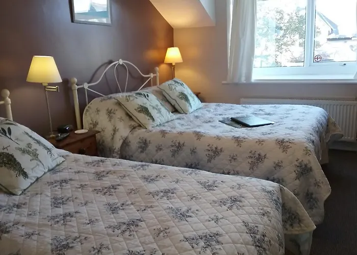 Guest house Dragon House Guest 4*